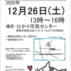 ねこのWa猫譲渡会　静岡市葵区