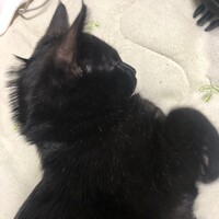 うに