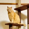 ひとみとはるか