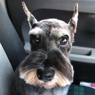  明るく大らか、フレンドリーな女の子♪