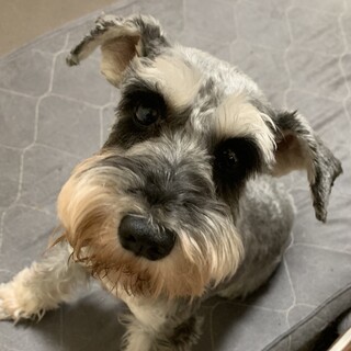 甘えたで元気な女の子♪