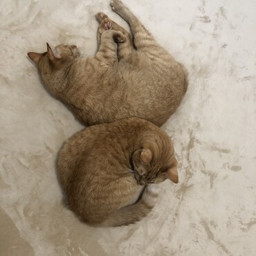 の写真