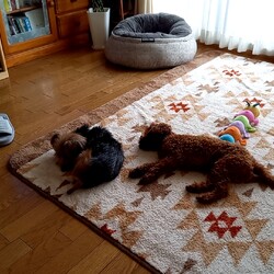 寒い日はお家で