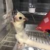 たか、、