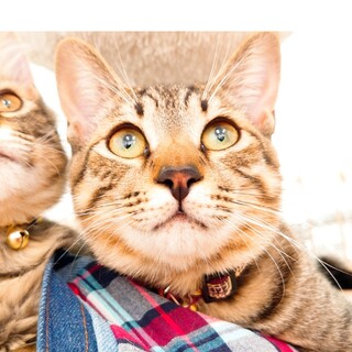 くりくりお目めのタイン君