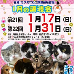 猫の譲渡会　in　名古屋市瑞穂区生涯学習センター