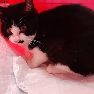 生後3か月の男の子