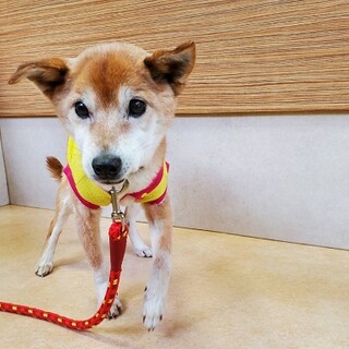 預かり先に困っています。