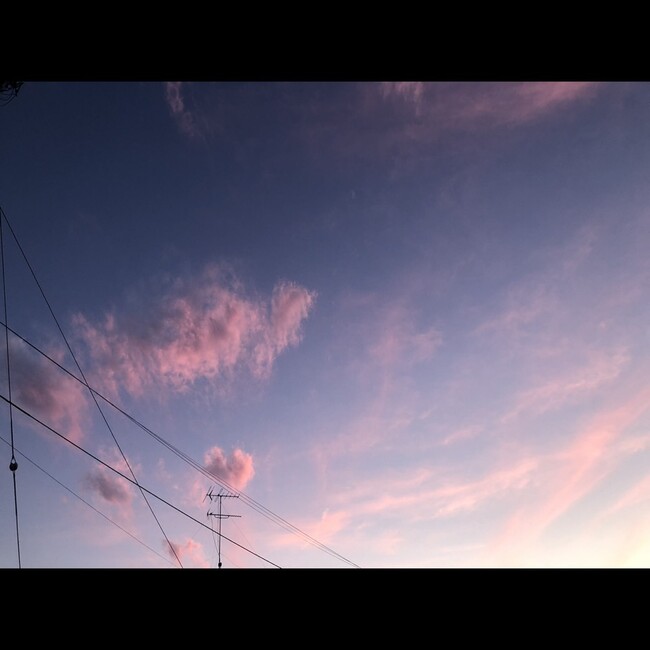 yume13のカバー写真