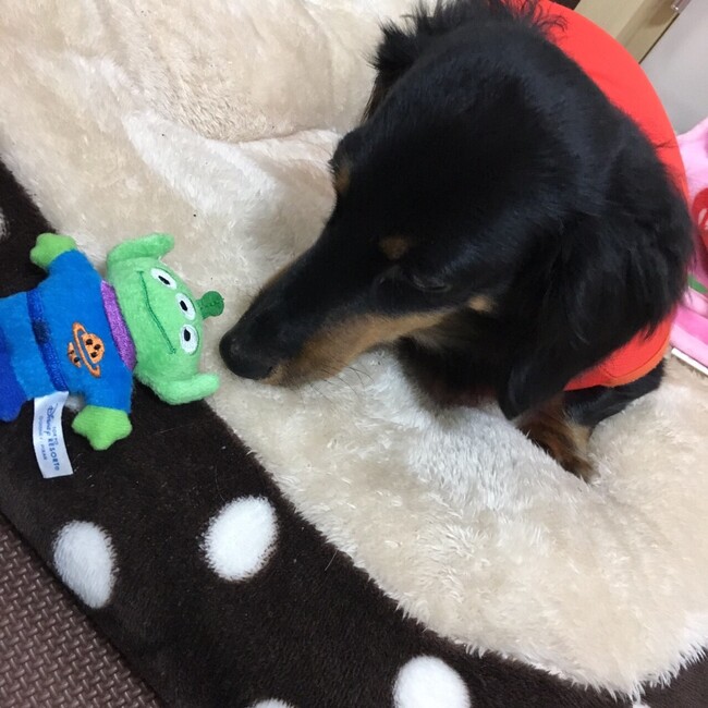 mℹ︎kuのカバー写真