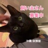 みぱね