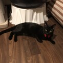 シャイな甘えんぼくん