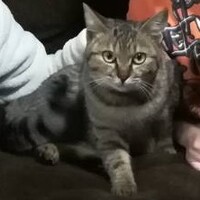 心寧（ここね）