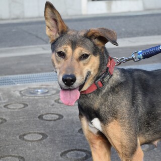 とっても元気なあまちゃん