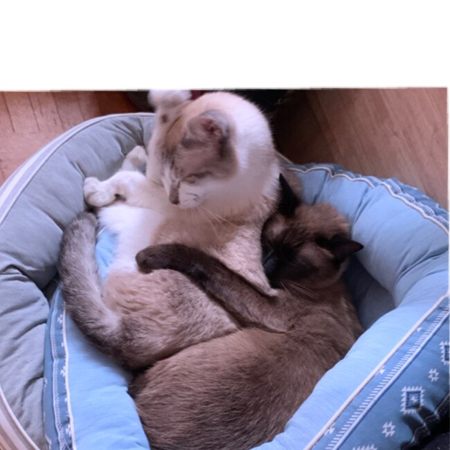 おかき、、のカバー写真