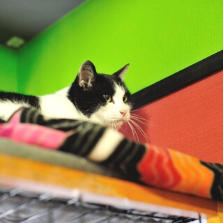 抱っこ大好き☆みるく