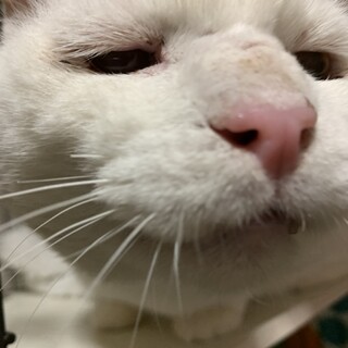 大きな身体で小心者♡可愛い甘えた大吾さま