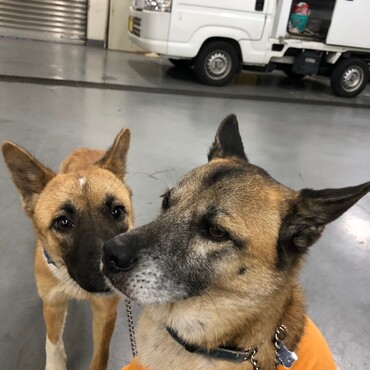 おとーさんじゃないんですけどぉ・・