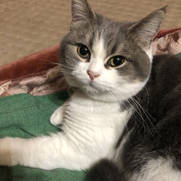 あたし、今日も可愛いって言われた