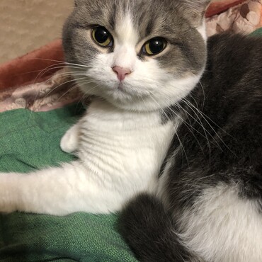 毎日可愛いの