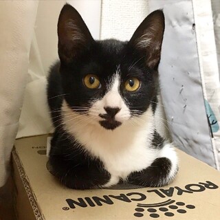 甘えん坊な男の子