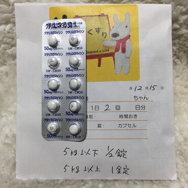 暴れるちび春病院へ行く！再び抗生剤・強制給餌…この膨らみはリンパ？口内炎？？