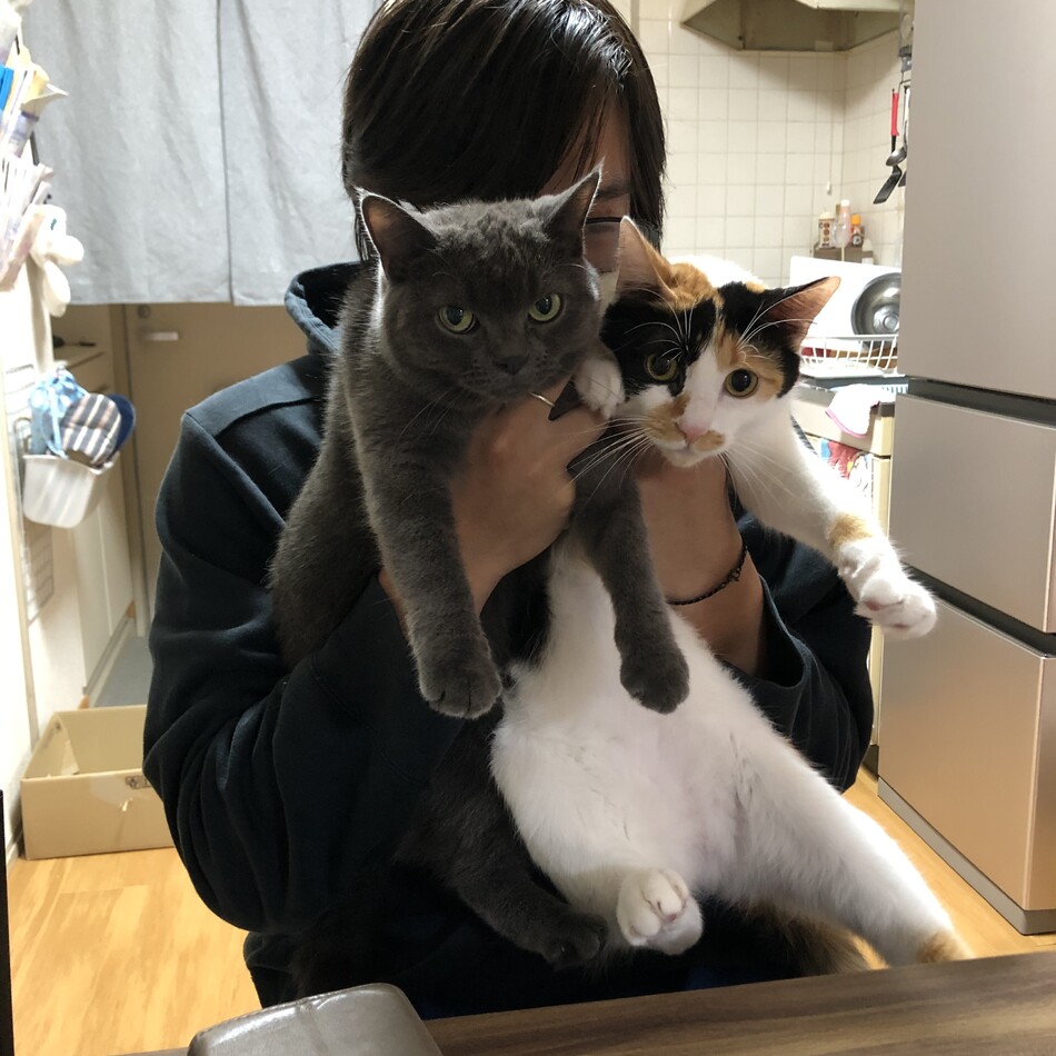 みいろのカバー写真