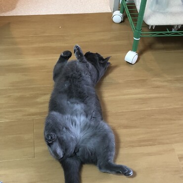 の写真