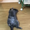 の写真