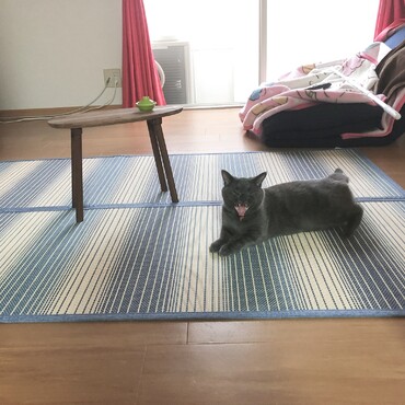 の写真
