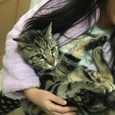 重い…、重い…、と落としそうな娘の抱っこ。