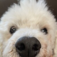 元気