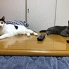 みーちゃろまま