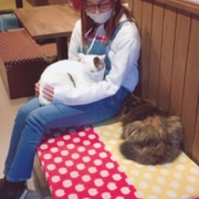 みーちゃろままのカバー写真