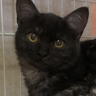 人馴れバツグン元気な　たんじろう君