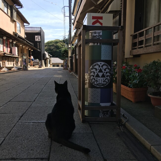 Dr.ズームのカバー写真