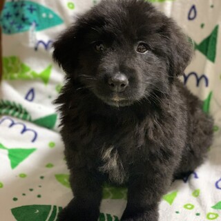 ☆家族が決まりました❣️☆