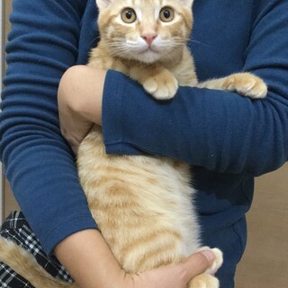 甘えん坊な男の子動画あります