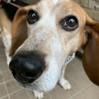 素晴らしい家族ができました。