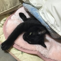 近況