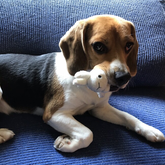 nmksのカバー写真