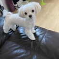私だけをかまって