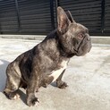 募集一時中断します！