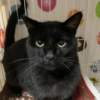 頑張って生きてたダブルキャリアの太郎くん♡