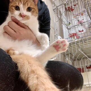 白血病キャリアにはどうしても思えない元気なボク♡