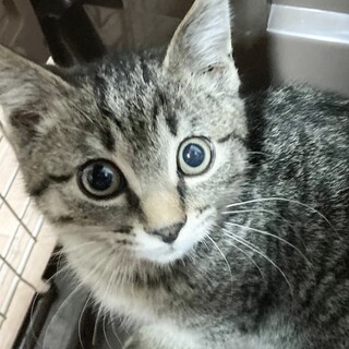 12/20 Terra里親会に参加❗️