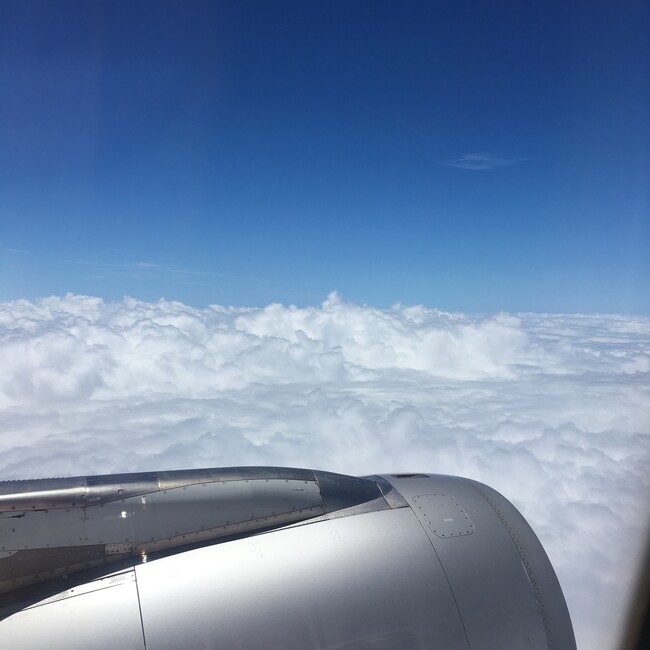 駒子と茜と純一郎のカバー写真