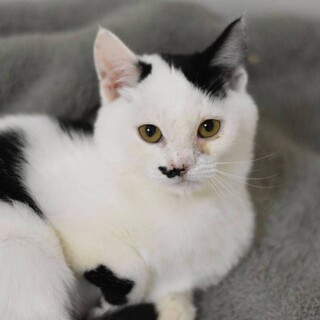 元気なチュウちゃん