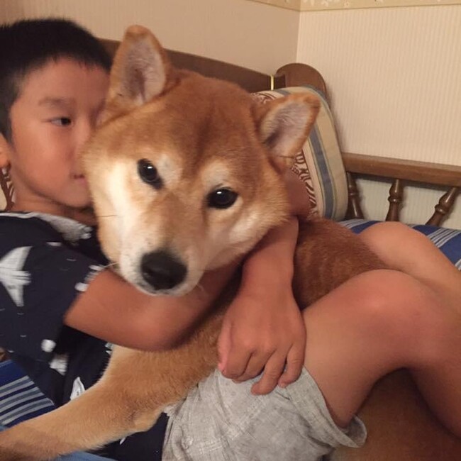 修一朗のカバー写真