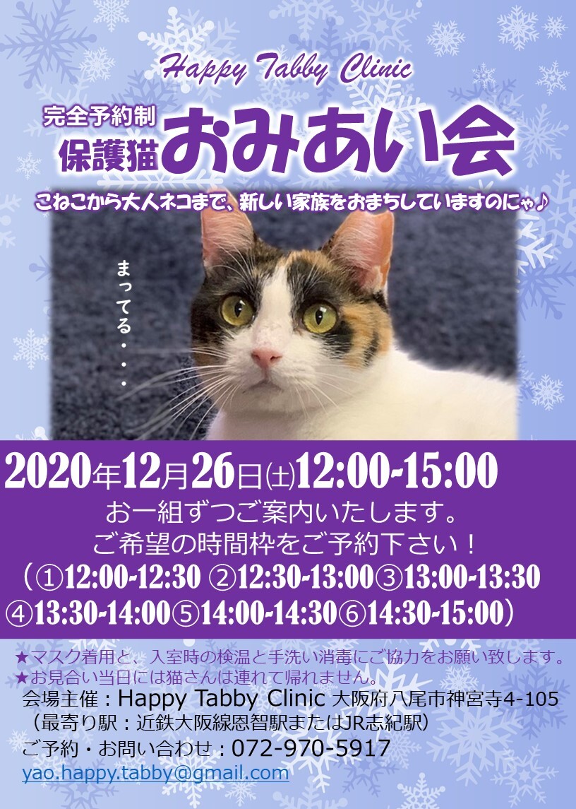一般社団法人happy Tabby
